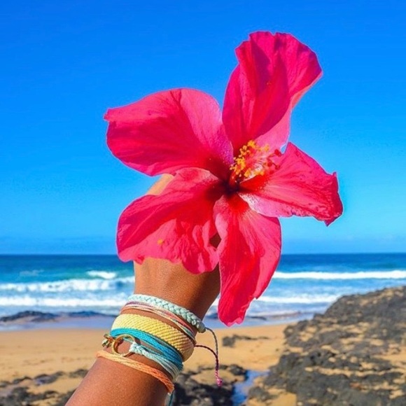 Meet your Posher - Picture 3 of 8